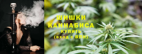 прущие грибы Наволоки