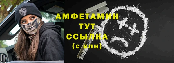 прущие грибы Наволоки