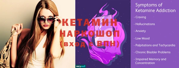 прущие грибы Наволоки