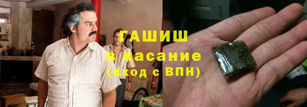прущие грибы Наволоки