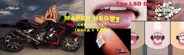 прущие грибы Наволоки