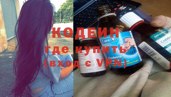 прущие грибы Наволоки