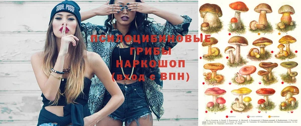 apvp Надым