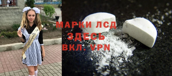 прущие грибы Наволоки