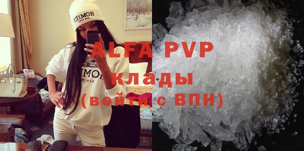 прущие грибы Наволоки