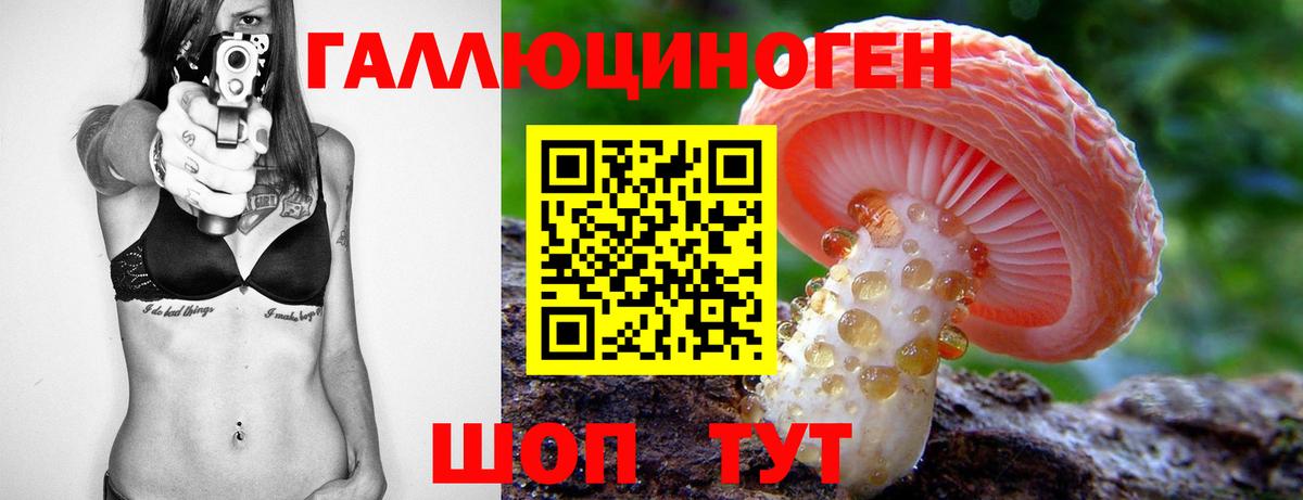 Псилоцибиновые грибы Psilocybe  Галлюциногенные грибы ЛСД  Тверь  Вход с VPN 