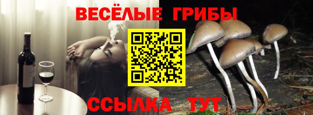 Галлюциногенные грибы Magic Shrooms Тверь